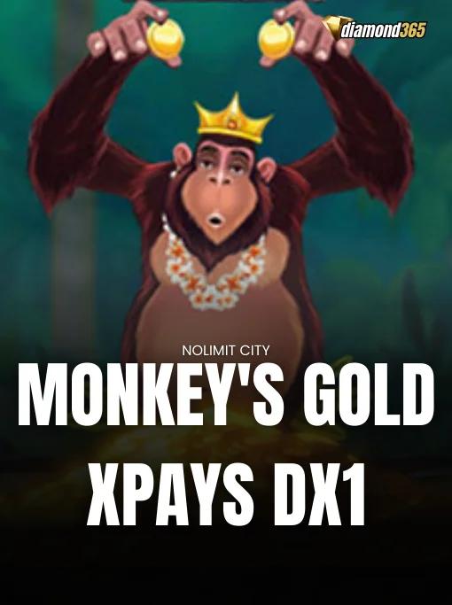 MONKEY'S GOLD XPAYS DX1