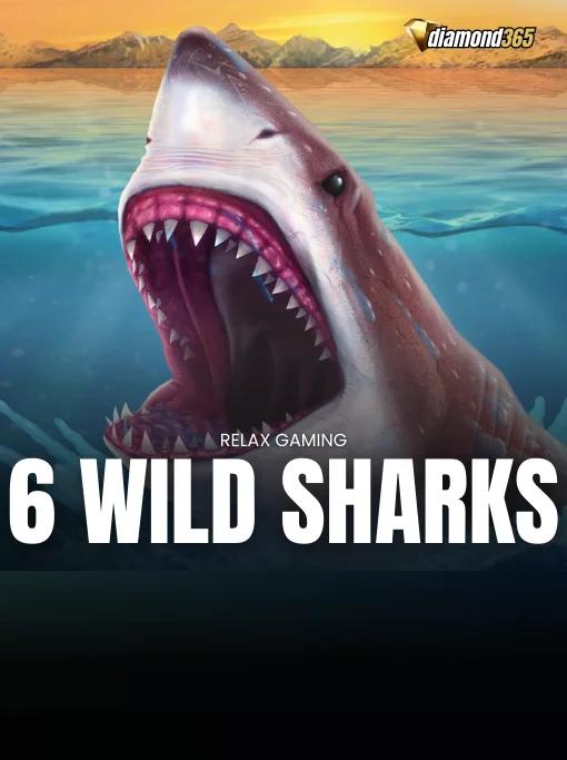 6 WILD SHARKS