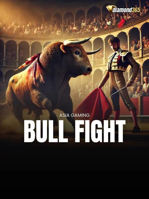 BULL FIGHT