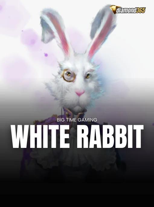 WHITE RABBIT