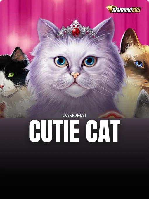 CUTIE CAT