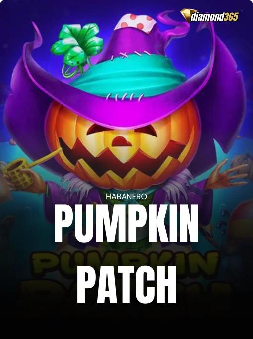PUMPKIN PATCH