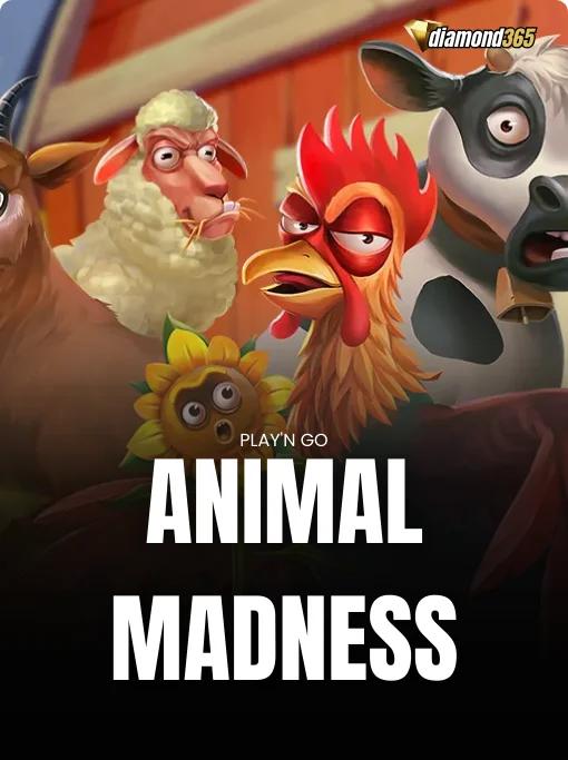 ANIMAL MADNESS