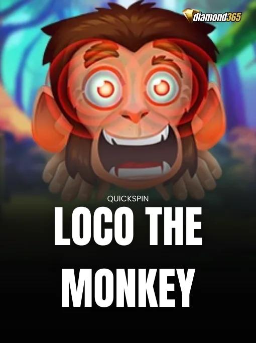 LOCO THE MONKEY